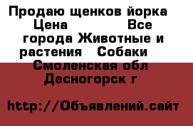 Продаю щенков йорка › Цена ­ 10 000 - Все города Животные и растения » Собаки   . Смоленская обл.,Десногорск г.